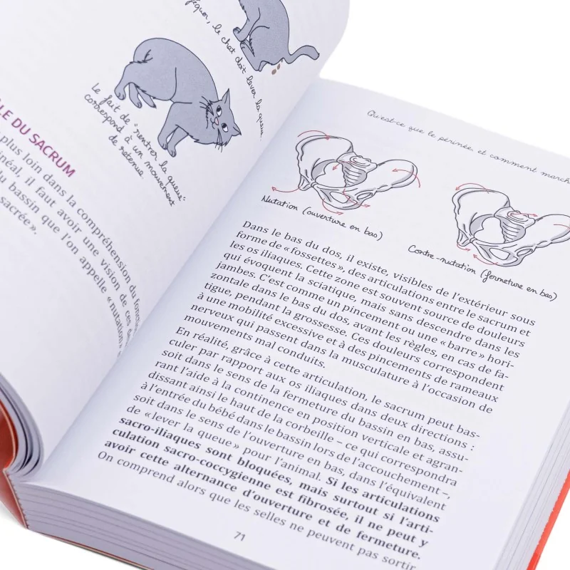 Livre Périnée arrêtez le massacre