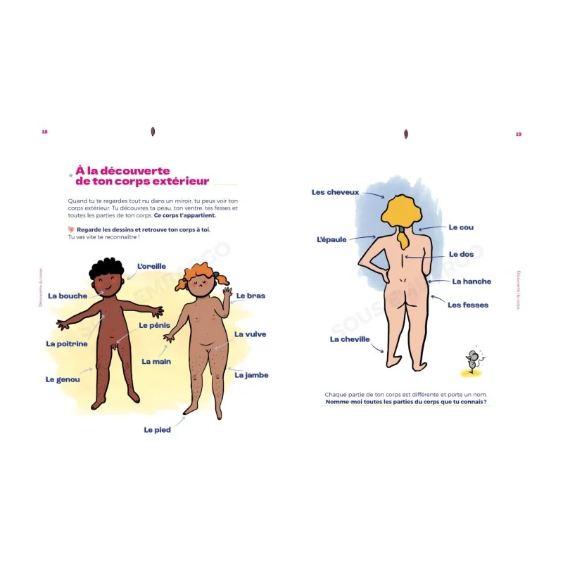 Livre le petit guide de la foufoune sexuelle tome 1 illustrations