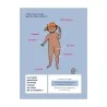 Livre le petit guide de la foufoune sexuelle tome 1 illustrations corps