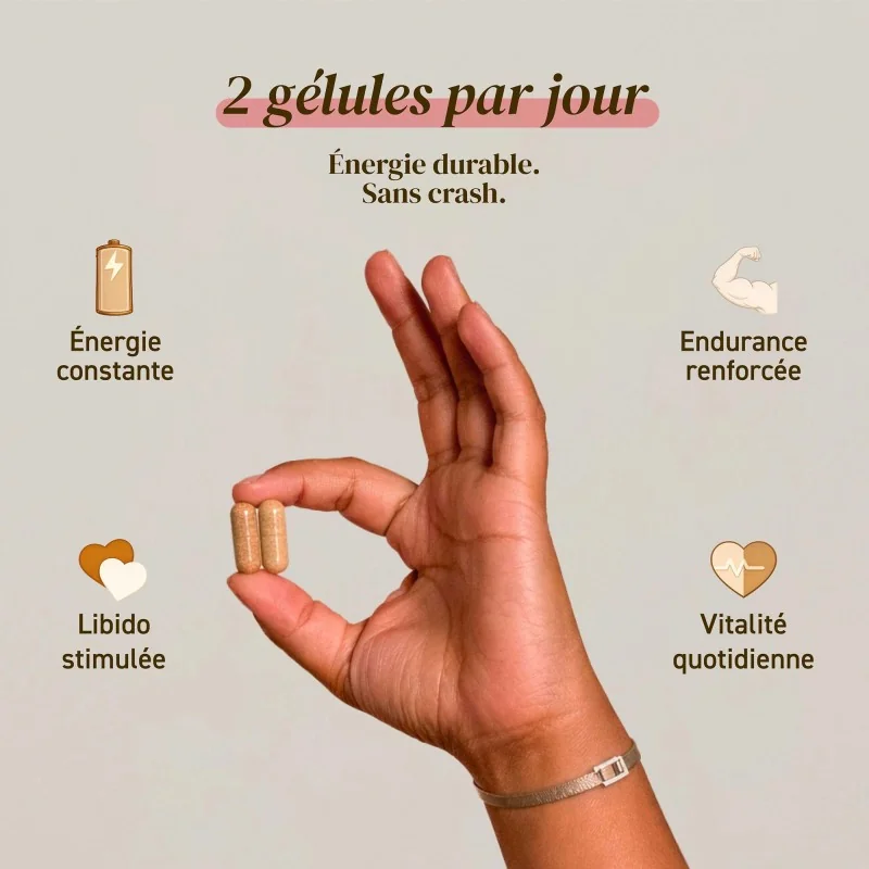Complément alimentaire à base d'extraits de Cordyceps bio