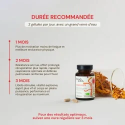 Complément alimentaire à base d'extraits de Cordyceps bio