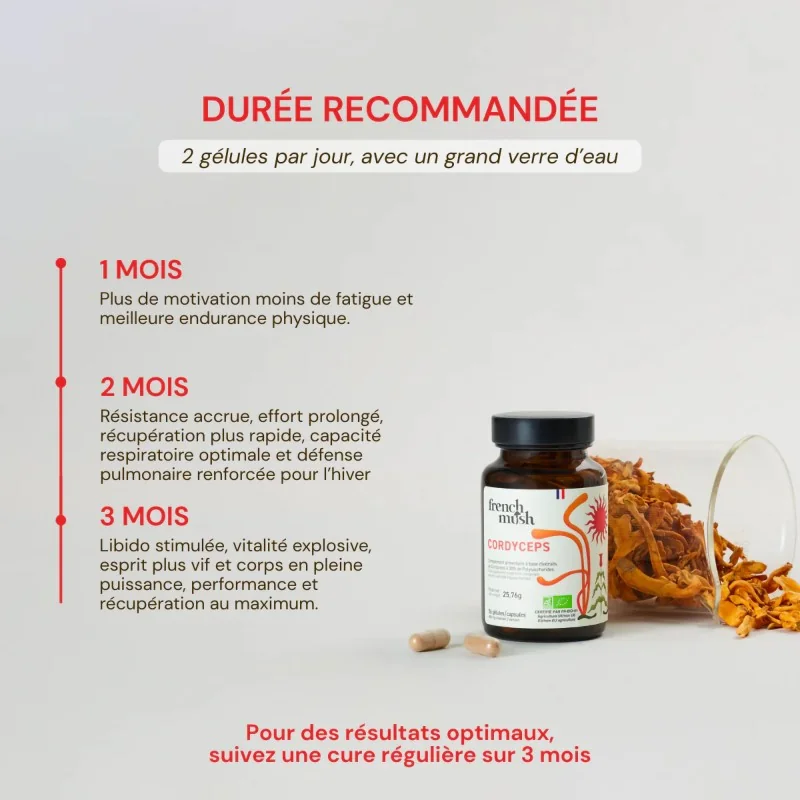 Complément alimentaire à base d'extraits de Cordyceps bio