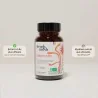 Complément alimentaire à base d'extraits de Cordyceps bio
