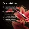 Lelo Dot Travel - Stimulateur clitoridien ciblé