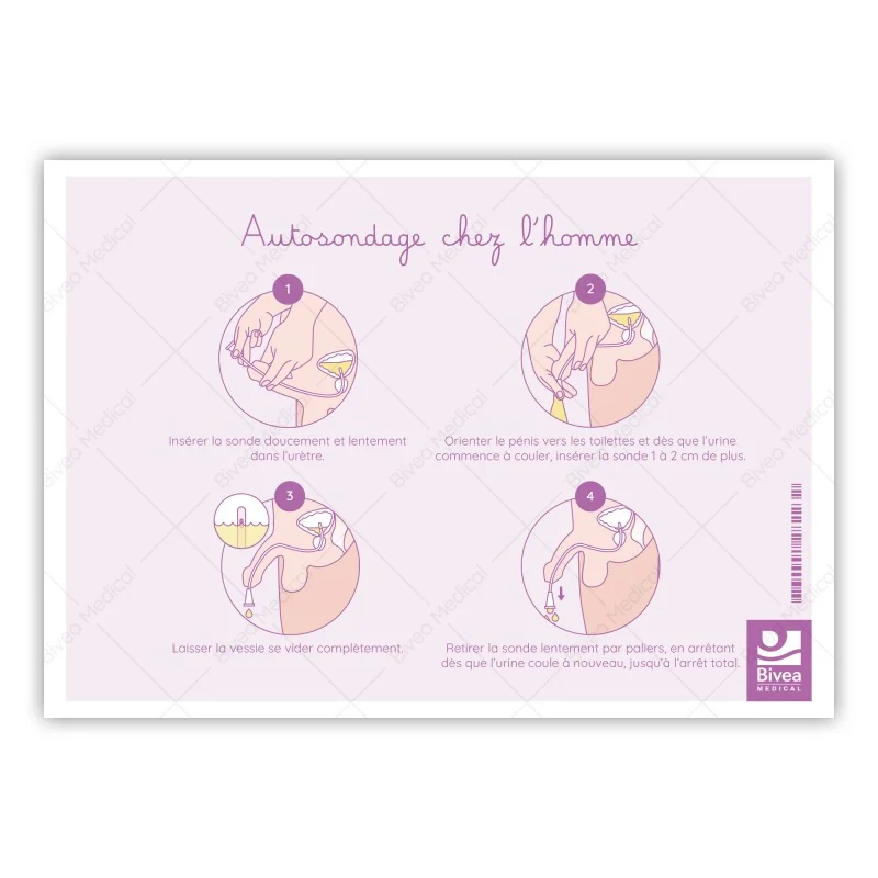 Schéma Autosondage chez l'homme et la femme