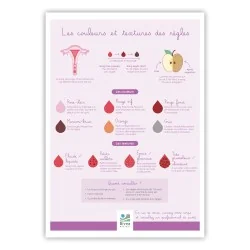 Schéma signification couleurs de règles  en A4