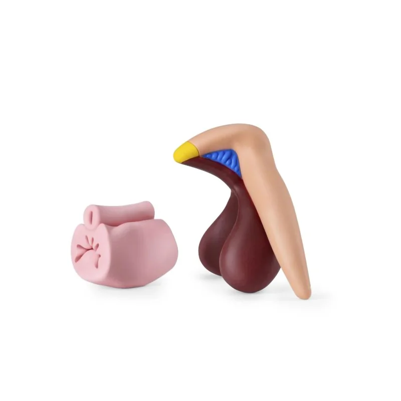 Modèle anatomique clitoris en silicone vu de profil
