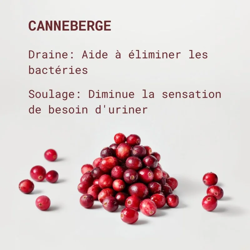 bienfaits canneberge dans complément confort urinaire