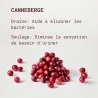 bienfaits canneberge dans complément confort urinaire