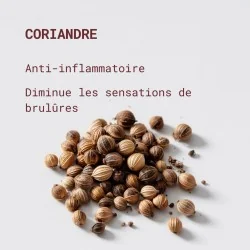 bienfaits coriandre dans complément confort urinaire