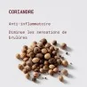 bienfaits coriandre dans complément confort urinaire