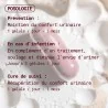 posologie complexe confort urinaire gapianne