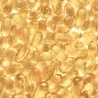 capsules bourrache, onagre te vitamine E