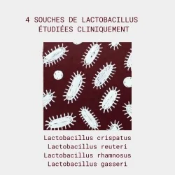 souches de lactobacilles présentes