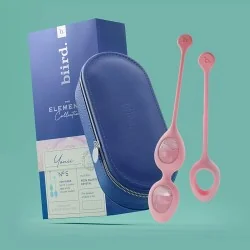 Yonii - Set de 2 oeufs de...