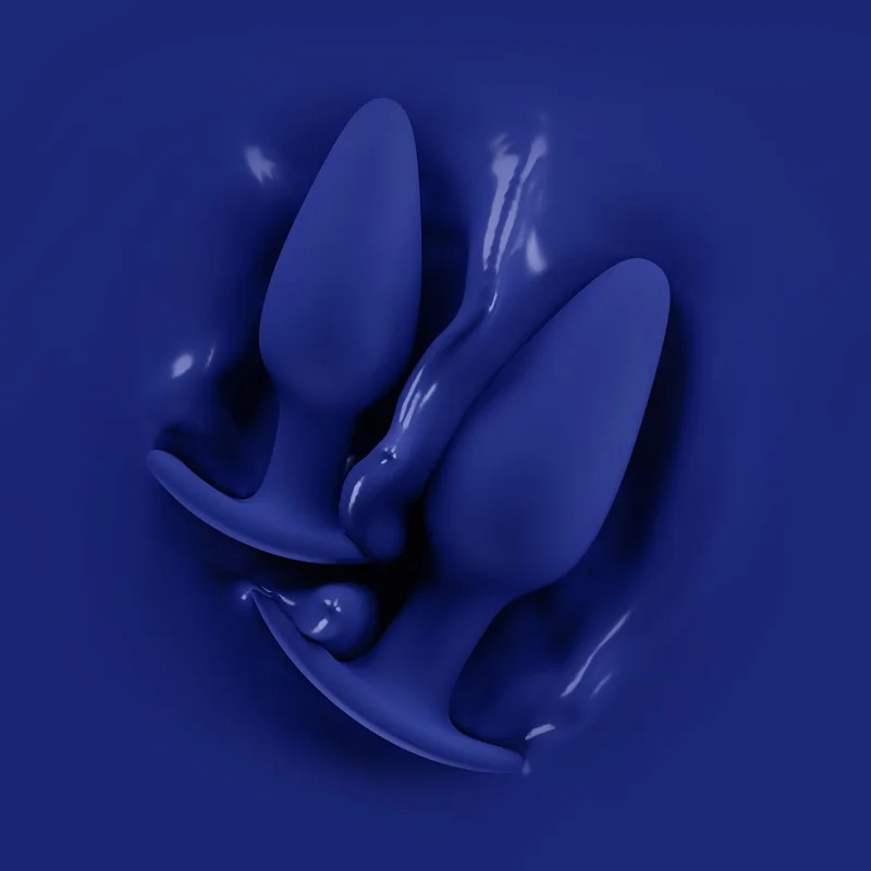 Regii - Set de 2 plugs anaux en silicone