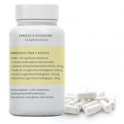 Ingrédients Nucléoxine NADH liposomale 80 mg