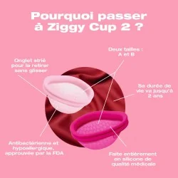 Ziggy Cup 2 - Disque menstruel pour rapport sexuel