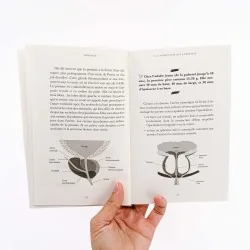 livre avec schéma prostate