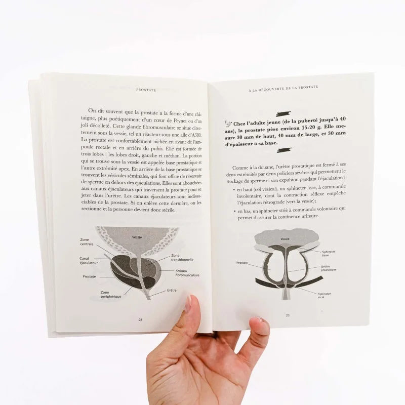 livre avec schéma prostate