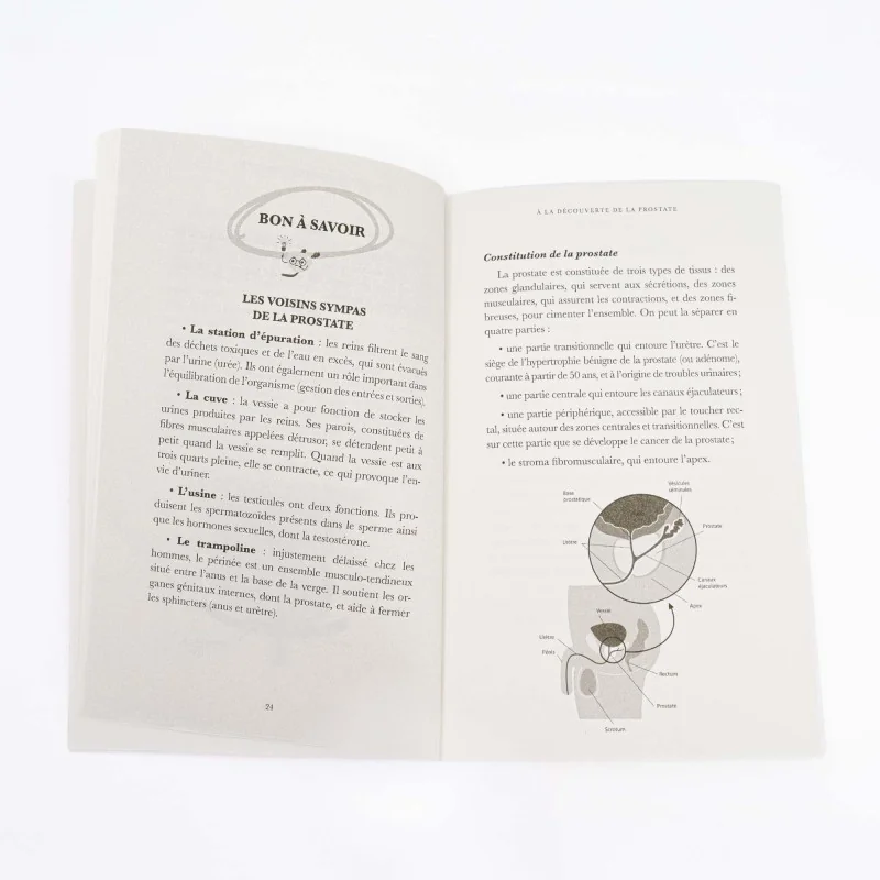livre sur la prostate avec schéma appareil génital