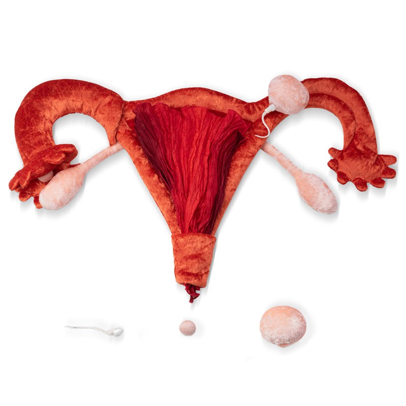Utérus et ovaires en peluche matériel pédagogique paomi