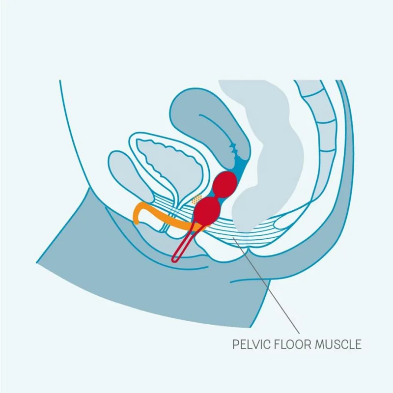 Boule de Kegel Smartball duo