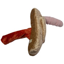 Modèle anatomique de clpénis avec Vagin+ Vulve en peluche