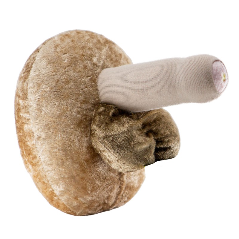 modèle anatomique de pénis grand clair