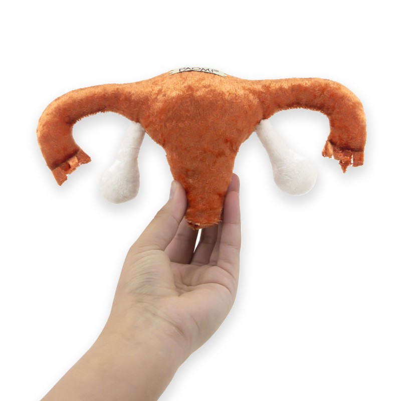 Modèle anatomique utérus en peluche petit tenu par une main de femme