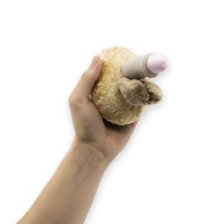 Pénis petit avec gland visible tenu dans une main