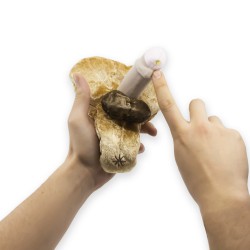 Modèle anatomique de pénis avec Hypospadias non circoncis en peluche avec urètre pointé du doigt