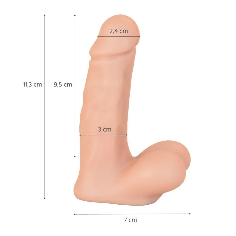 Dimensions du pénis en silicone pour l'éducation à la sexualité