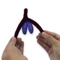 Clitoris en tissu Paomi tenu par deux mains