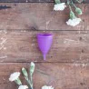 Coupe menstruelle violette taille 2 Lunacopine