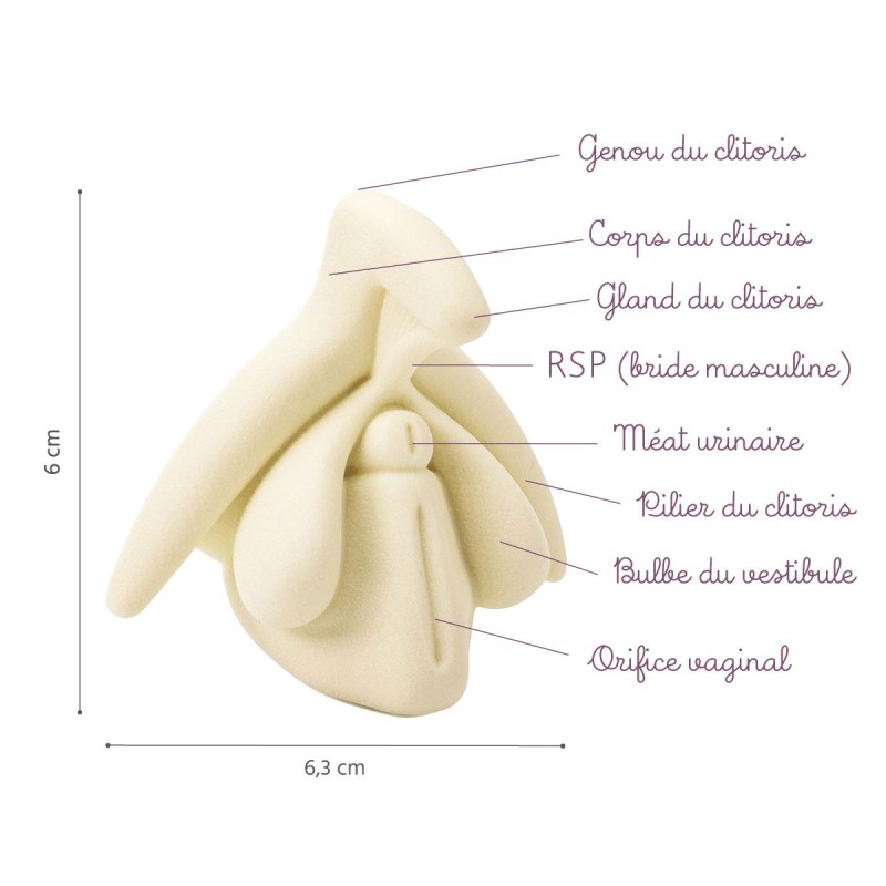 Clitoris taille réelle beige description Clitoris taille réelle beige description