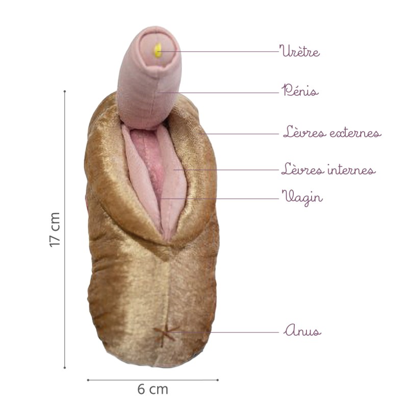 Caractéristiques du modèle anatomique de pénis avec Vagin+ Vulve en peluche