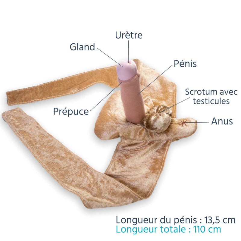 Modèle anatomique de pénis en peluche avec ceinture