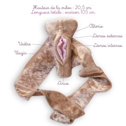 Caractéristiques du modèle anatomique de vagin en peluche avec ceinture