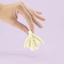 modèle pédagogique clitoris à taille réelle crème dimensions
