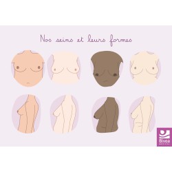 Carte anatomique sur les seins et les différentes formes