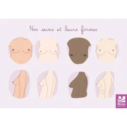 Carte anatomique sur les seins et les différentes formes