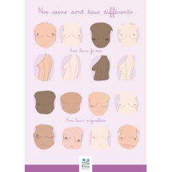 Poster illustrations seins avec différentes formes