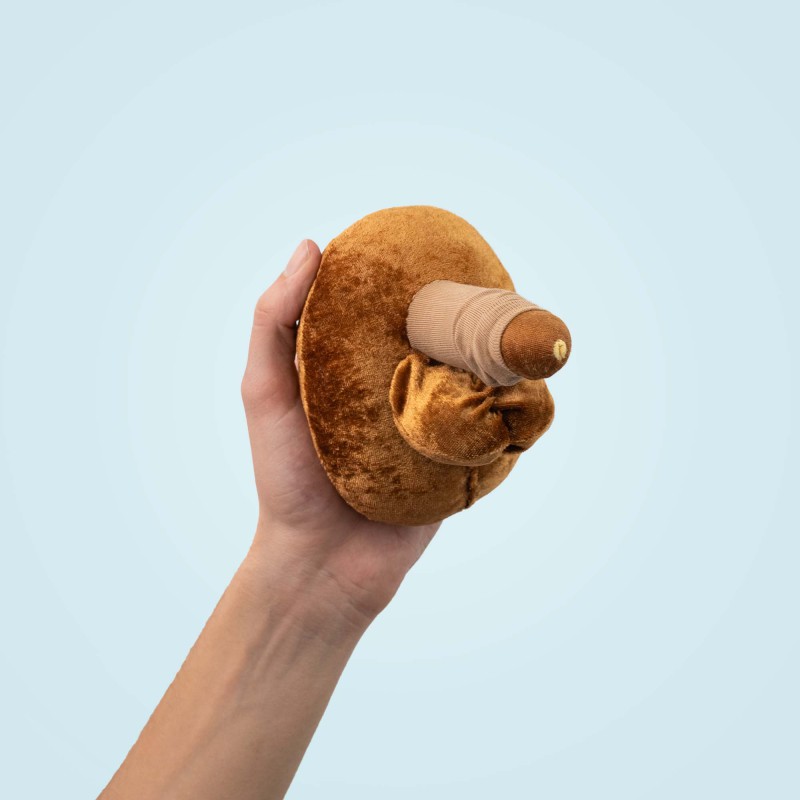 modèle anatomique de pénis grand caramel décalotté tenu dans une main