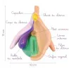 Vulve en silicone de Medintim pour l'éducation à la sexualité description