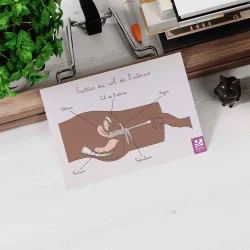 schéma anatomique d'un frottis peau foncée posé sur un bureau