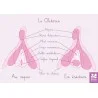 schéma du clitoris au repos et en érection