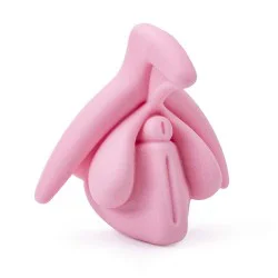 modèle éducatif anatomie du clitoris en 3D rose