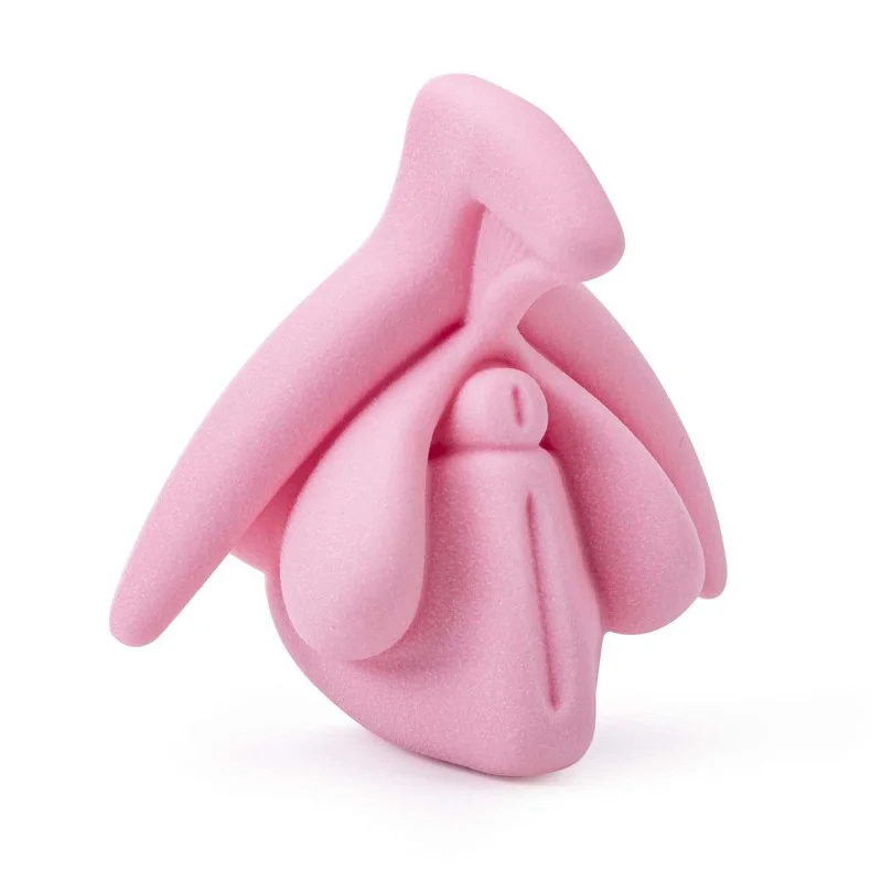 modèle éducatif anatomie du clitoris en 3D rose