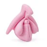modèle éducatif anatomie du clitoris en 3D rose